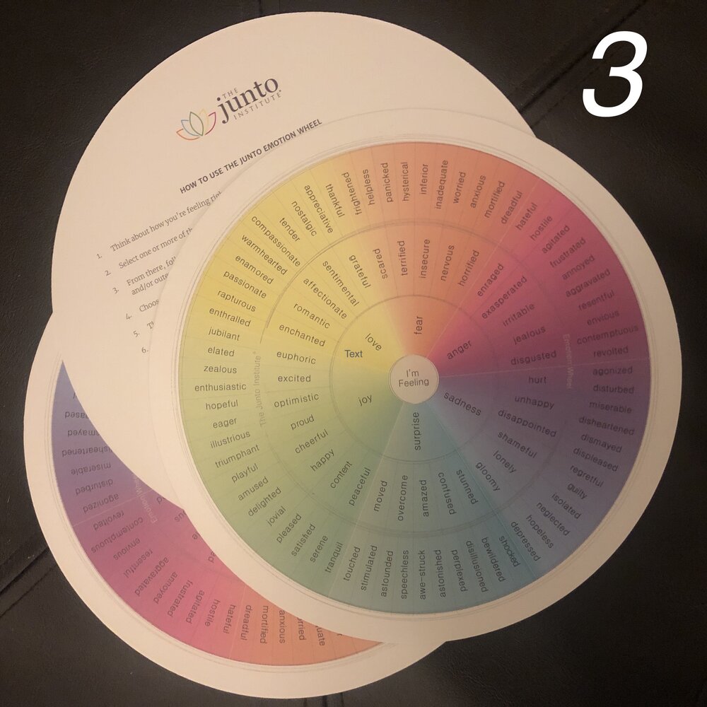 3pack of Junto Emotion Wheel The Junto Institute